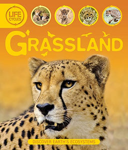 Life Cycles: Grassland 