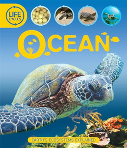 Life Cycles: Ocean 