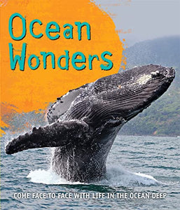 Fast Facts! Ocean Wonders 