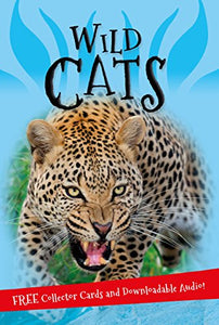 It's all about... Wild Cats 