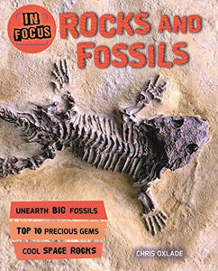 In Focus: Rocks and Fossils 