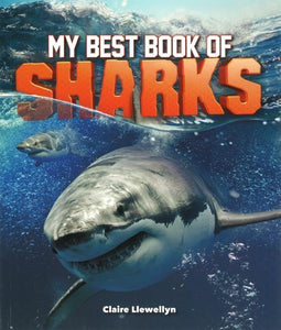 My Best Book of Sharks 