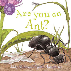 Are You An Ant? 