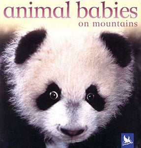 US Animal Babies on Mountains 