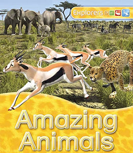 Amazing Animals 