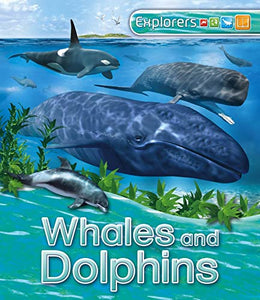 US Explorers: Whales and Dolphins 