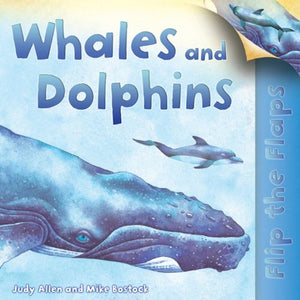 Whales and Dolphins 