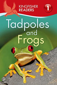 Tadpoles and Frogs 