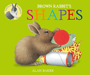 Brown Rabbit's Shapes 