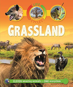 Life Cycles: Grassland 