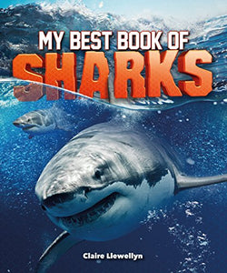 My Best Book of Sharks 