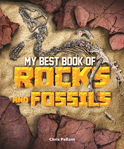 My Best Book of Rocks and Fossils 