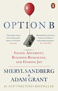 Option B 