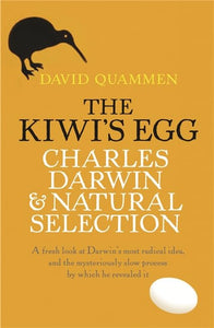 The Kiwi's Egg 