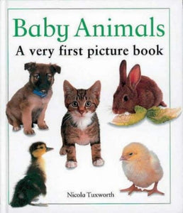 Baby Animals 