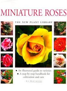 Miniature Roses 