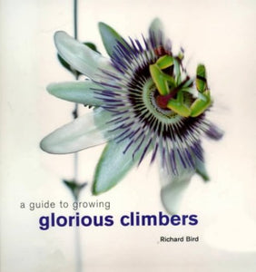 A Guide to Growing Glorious Climbers 