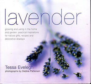 Lavender 