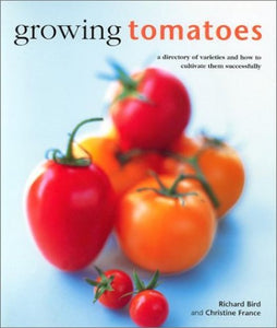 Growing Tomatoes 