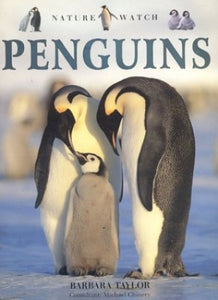 Penguins 