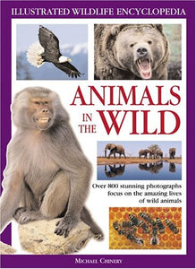 Animals in the Wild 