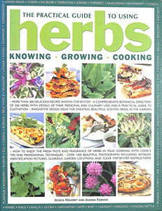 The Practical Guide to Using Herbs 