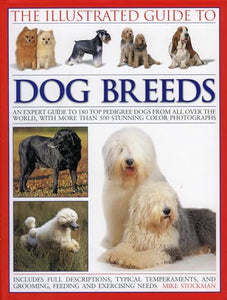 The Illustrated Guide to Dog Breeds 