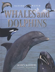 Whales and Dolphins 