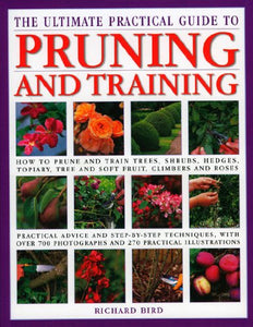 The Ultimate Practical Guide to Pruning and Training 