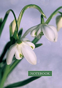 Notebook: Snowdrop 