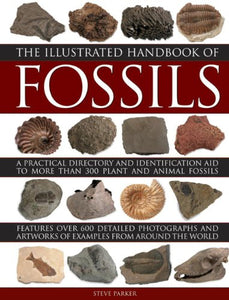 Illustrated Handbook of Fossils 