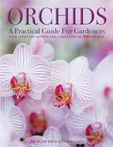 Orchids 