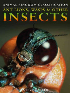 Ant Lions, Wasps and Other Insects 