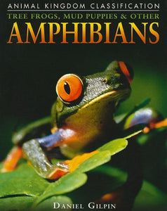 Tree Frogs, Mud Puppies & Other Amphibians 