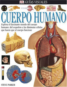 Cuerpo Humano 