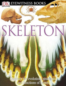 Skeleton 