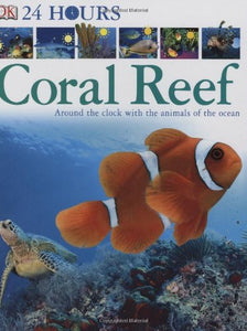 Coral Reef 