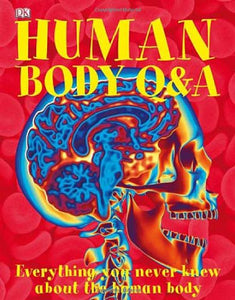 Human Body Q&A 