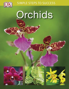 Orchids 