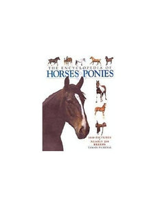 The Encyclopedia of Horses Ponies 