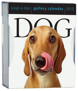 Dog Gallery 