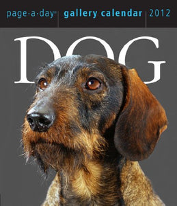 Dog Gallery 2012 