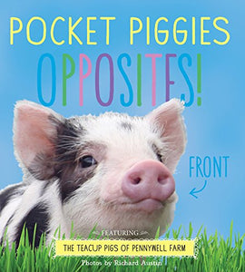 Pocket Piggies Opposites! 