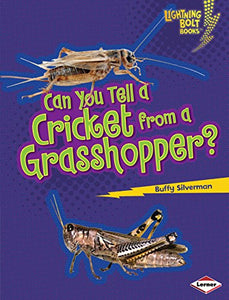 Can You Tell a Cricket from a Grasshopper? 