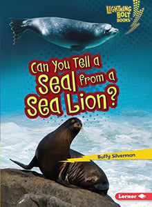 Can You Tell a Seal from a Sea Lion 