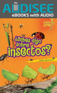 ¿Sabes algo sobre insectos? (Do You Know about Insects?) 