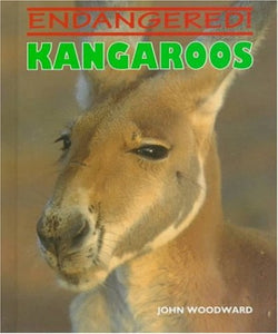 Kangaroos 