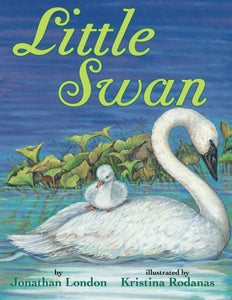 Little Swan 