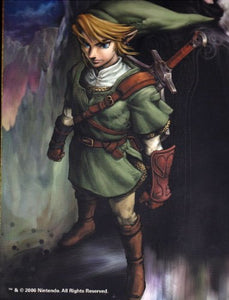 The Legend of Zelda: Twilight Princess (Wii Version) 