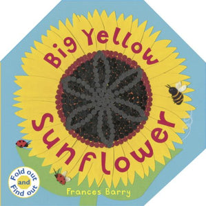 Big Yellow Sunflower 